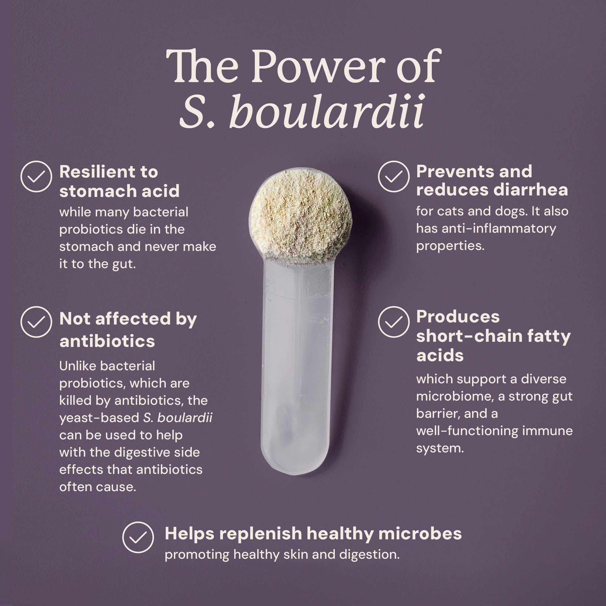 Embark S. Boulardii + FOS Powder - Image 3