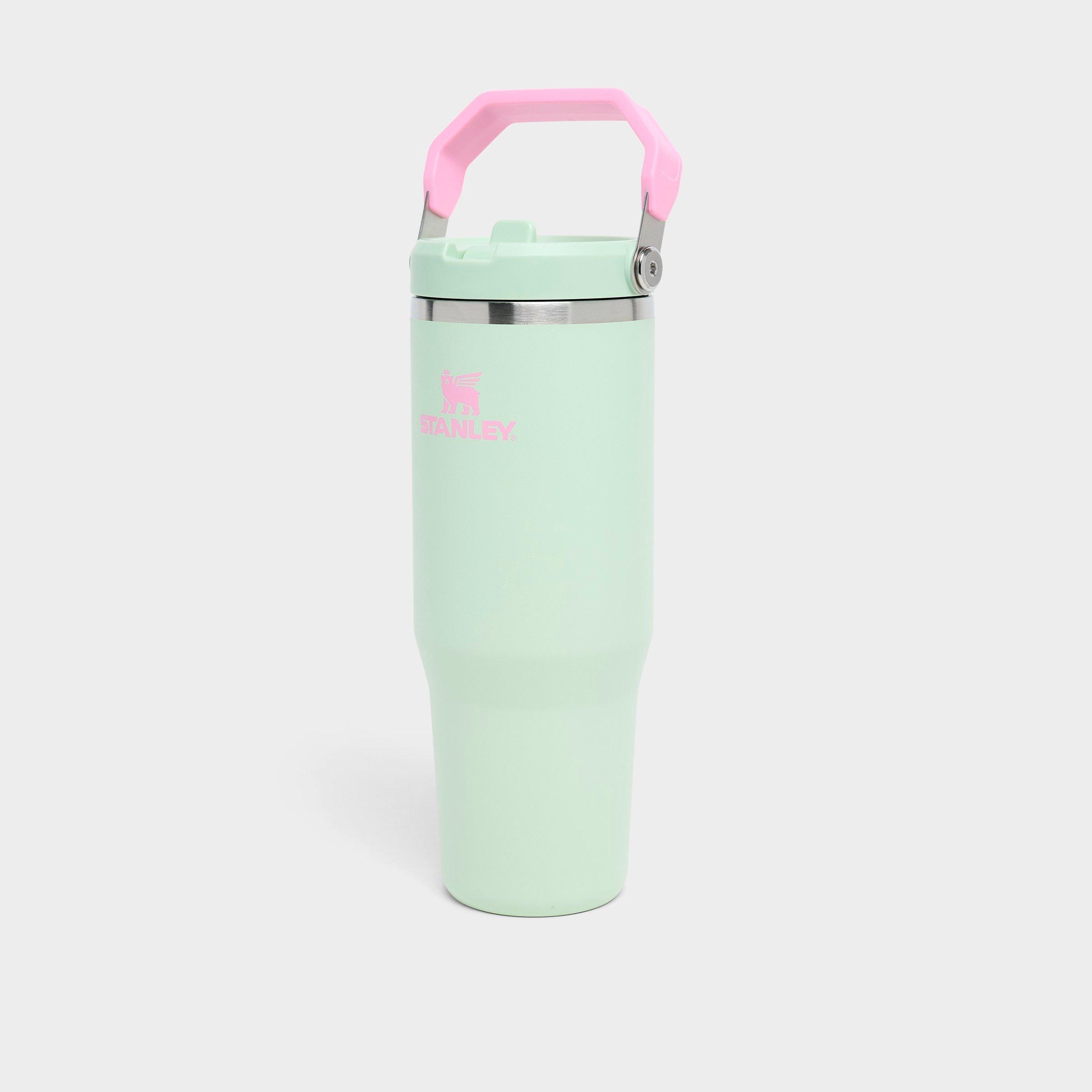 Stanley IceFlow Flip Straw Tumbler (30 oz.)