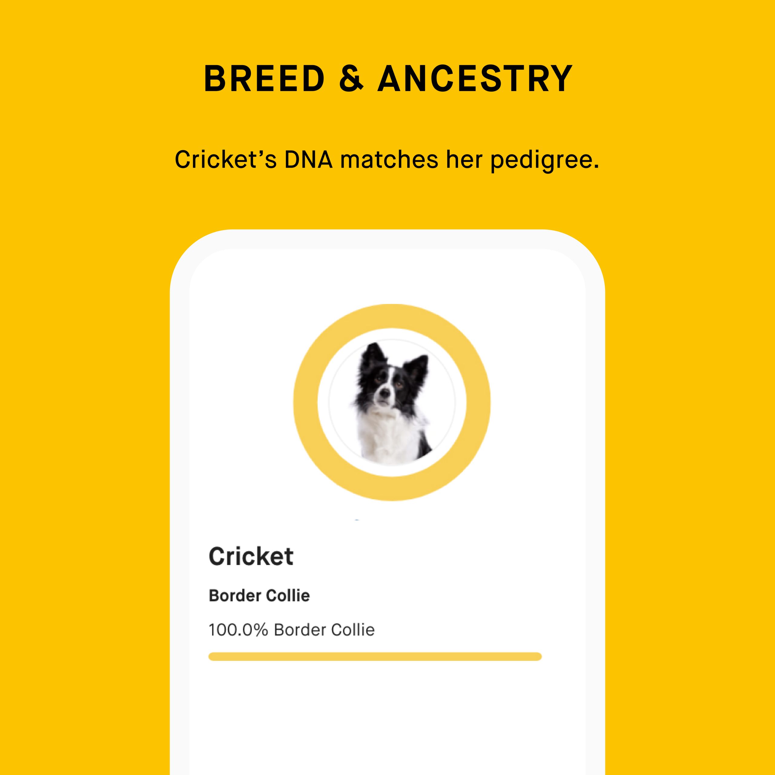 Embark for Breeders Litter Package - Image 5