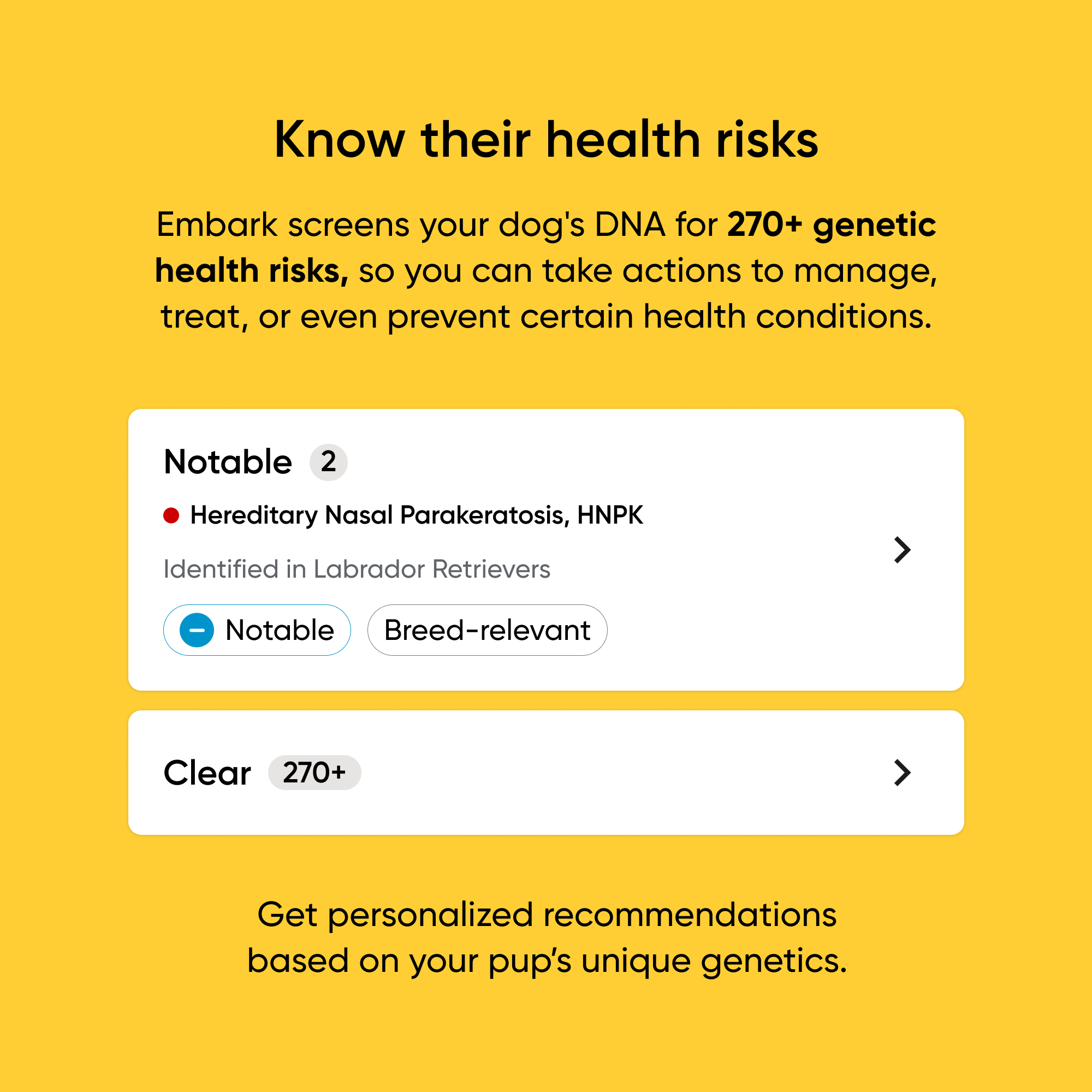 Embark Dog DNA Test - Image 4