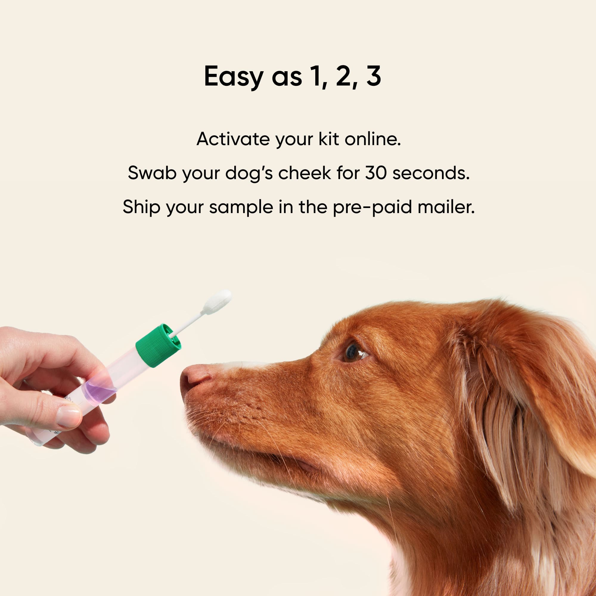 Embark Puppy Partner DNA Test - Image 7