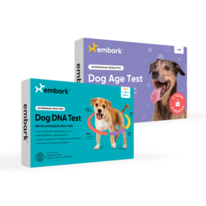 Embark Breed + Health and Age Test Bundle