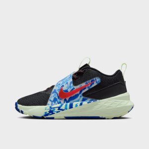 Big Kids’ Nike Team Hustle D 12 Basketball Shoes