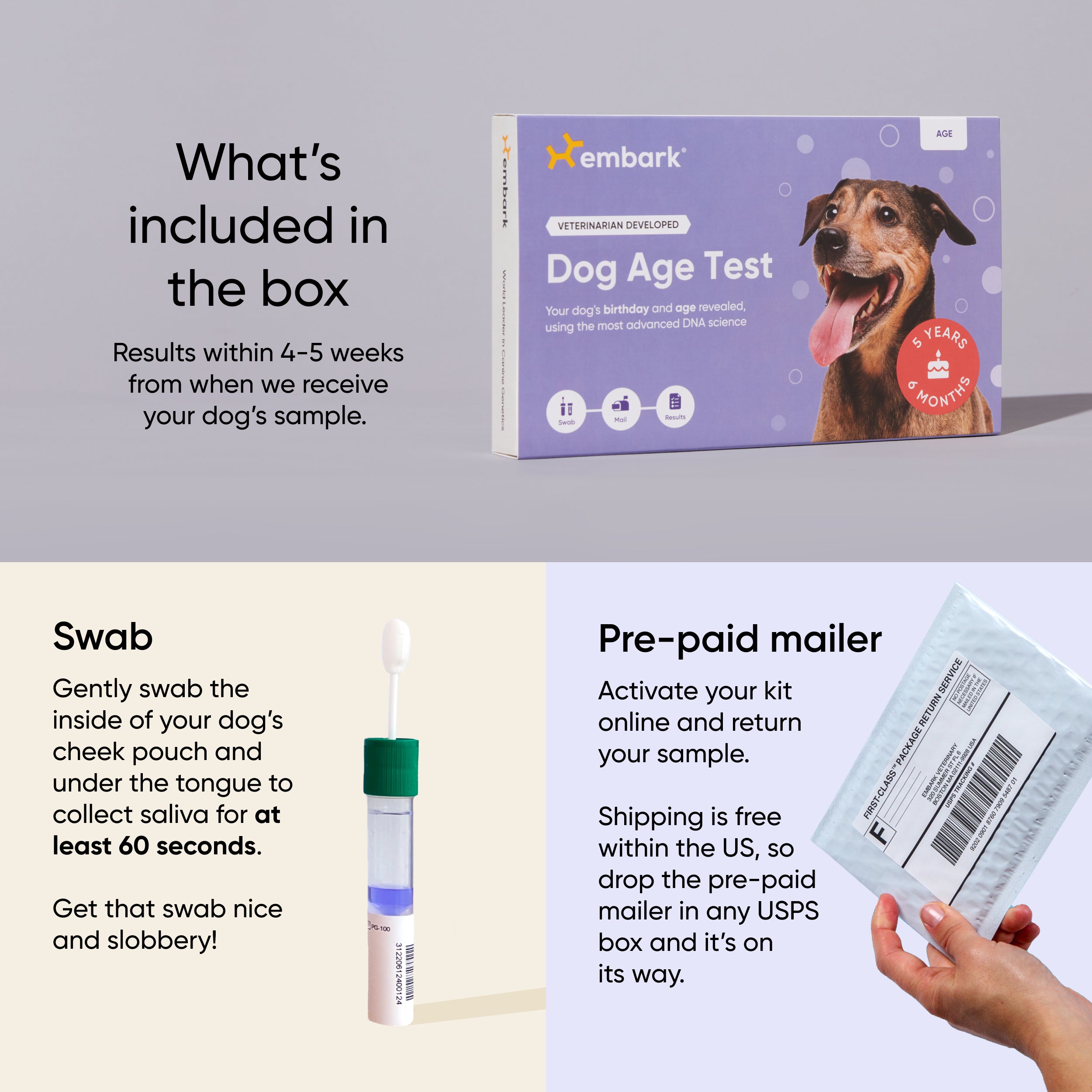 Embark Dog Age Test - Image 4