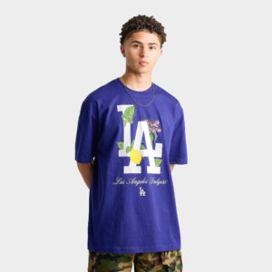 New Era Los Angeles Dodgers MLB Calabasas Graphic T-Shirt
