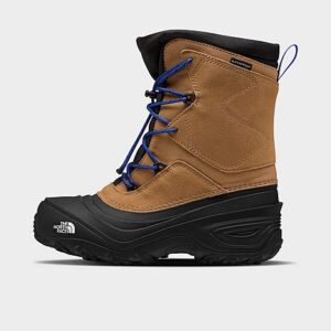 Big Kids’ The North Face Alpenglow V Winter Boots