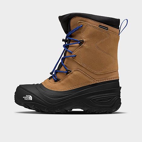 Big Kids’ The North Face Alpenglow V Winter Boots
