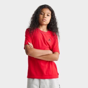 Big Kids’ Jordan Brooklyn Essentials Embroidered Jumpman T-Shirt