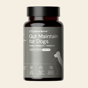 Embark Gut Maintenance Plus Supplement