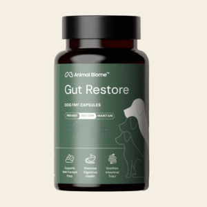 Embark Gut Restore Supplement for Dogs