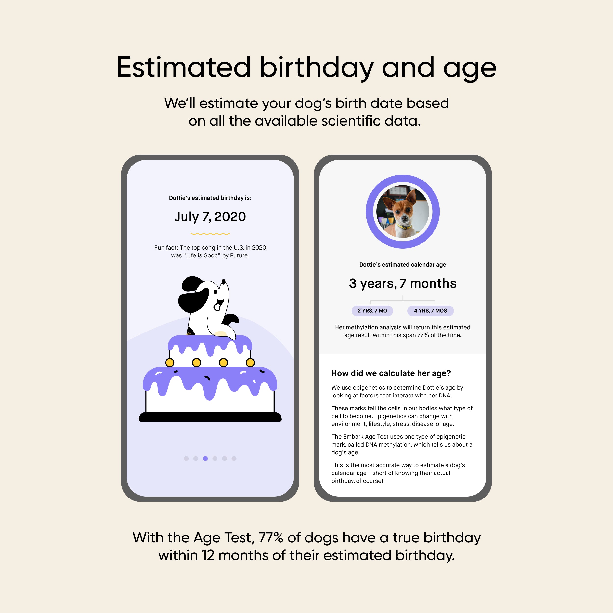 Embark Dog Age Test - Image 2