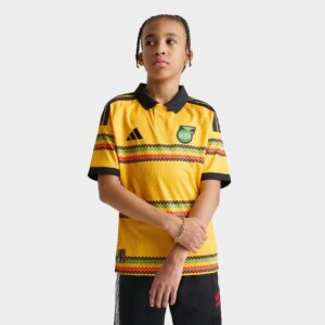 Big Kids’ adidas x Bob Marley Jamaica 26 Home Replica Soccer Jersey