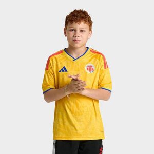 Big Kids’ adidas Colombia Home Replica Soccer Jersey