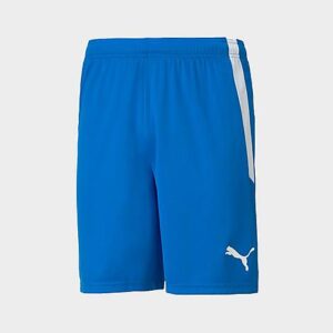 Puma teamLIGA Soccer Shorts