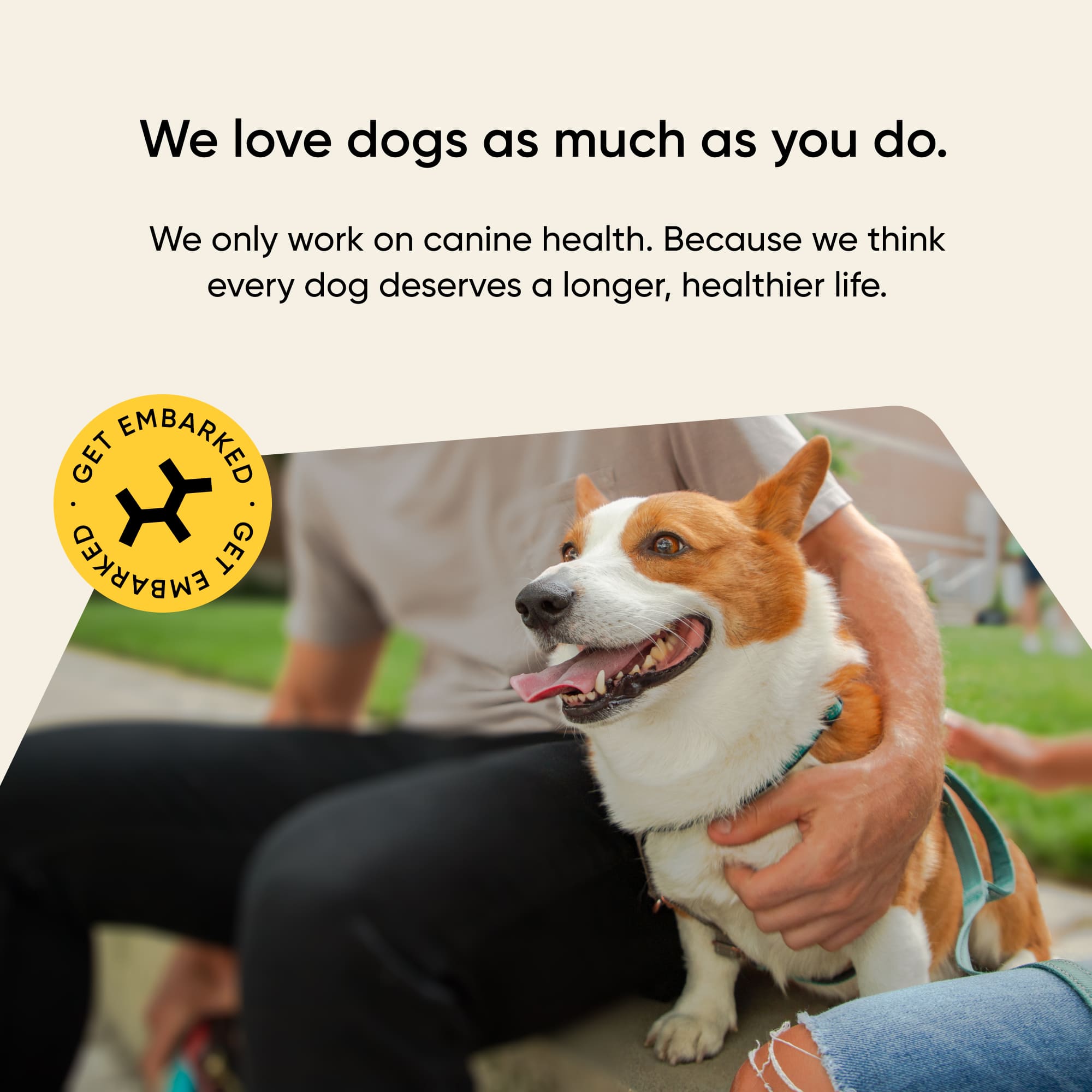 Embark Puppy Partner DNA Test - Image 6