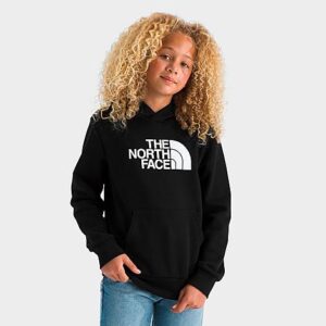 Big Kids’ The North Face Evolution Half Dome Pullover Hoodie