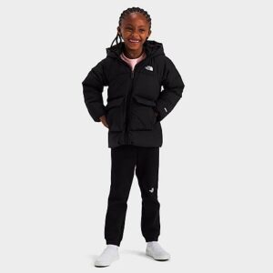 Toddler The North Face Down Fleece-Lined Parka
