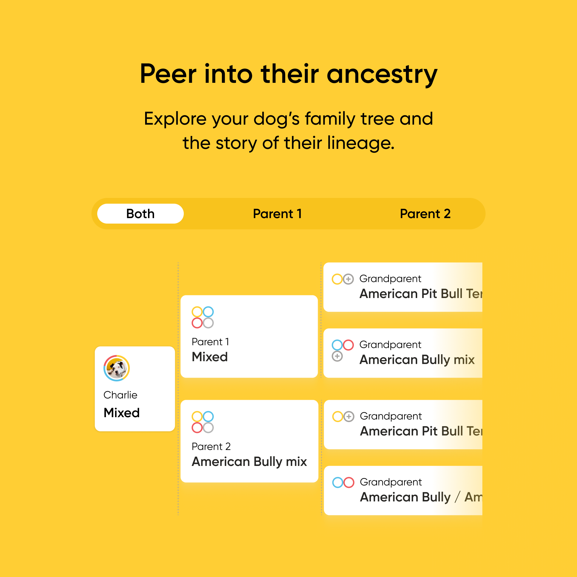 Embark Dog DNA Test - Image 6