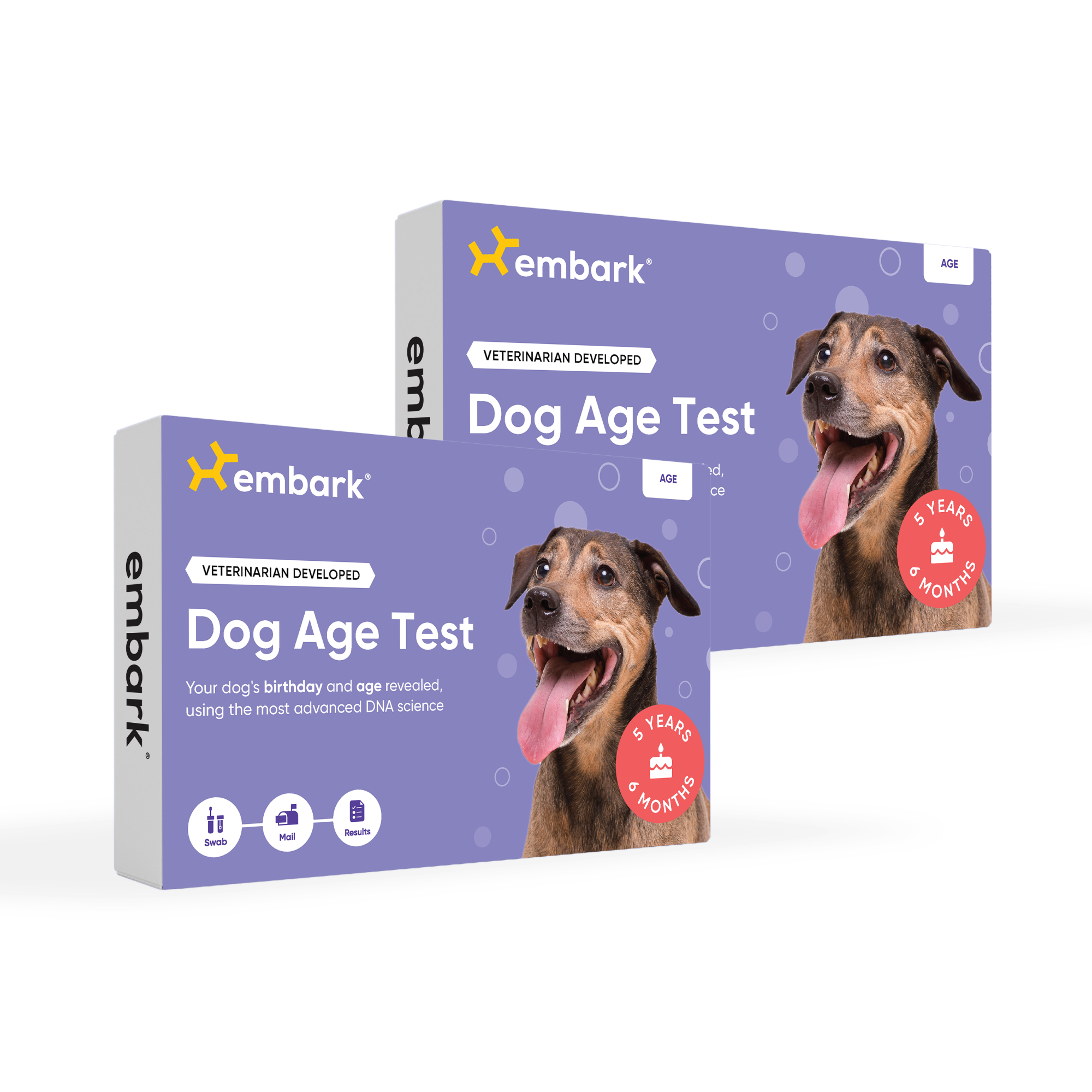 Embark Dog Age Test - Image 5